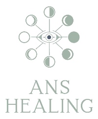 ANS Healing Company Logo by Dr. Noosha Shambayati, NMD in McLean VA