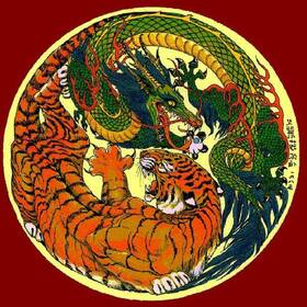 Dragon & Tiger Medical Qigong