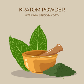 Introduction to Kratom 101