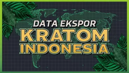 Discover the journey through the kratom fields of Kalimantan