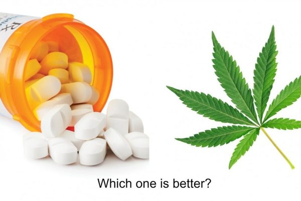 Marijuana vs Opioids for Pain - COVID 19 Update