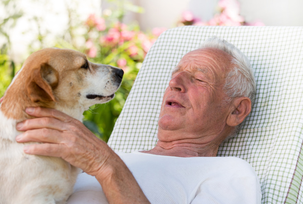 Pet Therapy for Chronic Pain