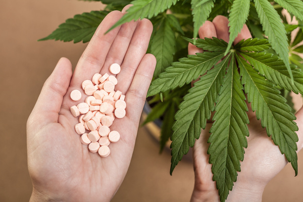 Switching from Pharmaceuticals to Medical Marijuana