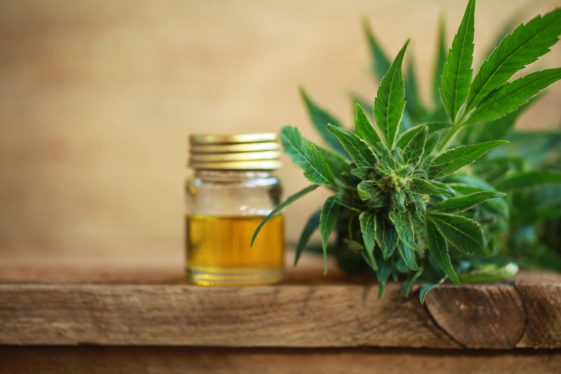 An All Natural Alternative To NSAIDS: CBD